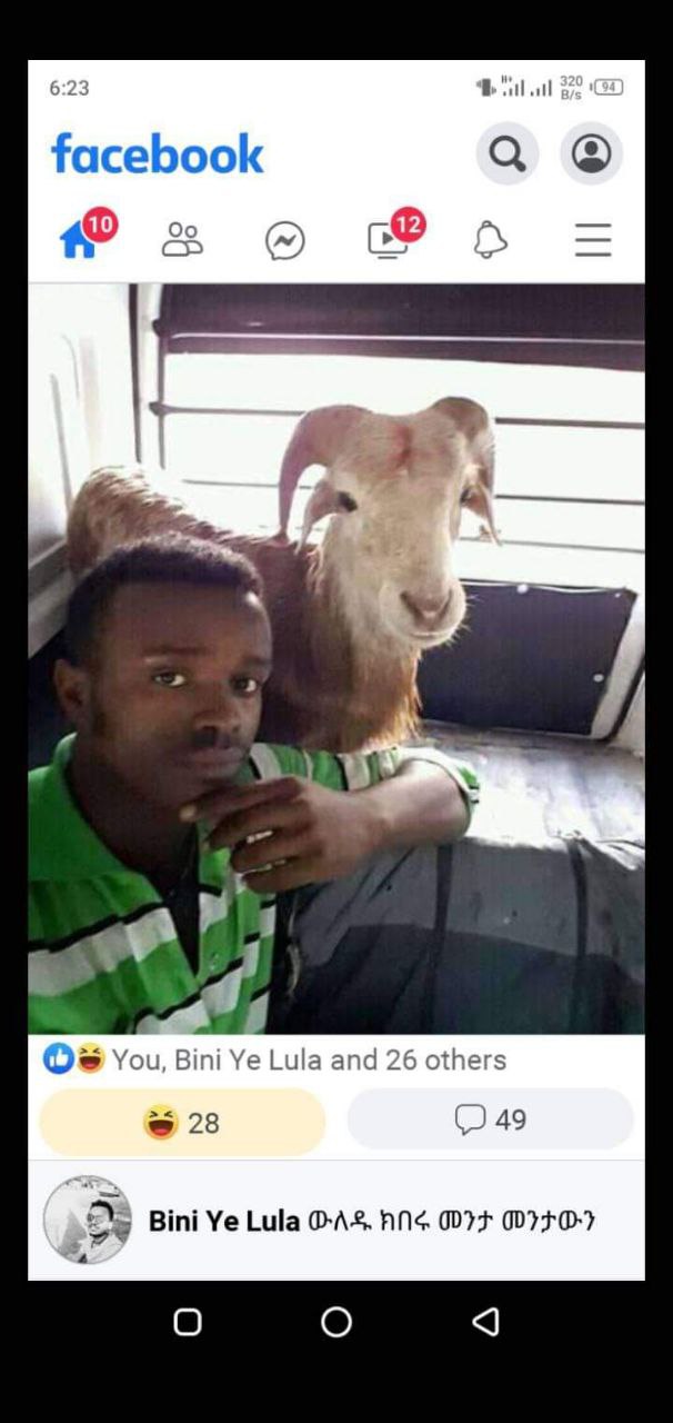 a man is holding a bird in his hand